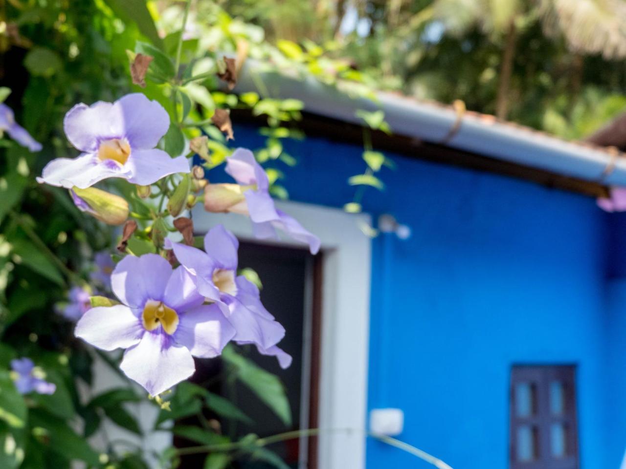 Villa Khatun Guesthouse Panaji Exterior foto